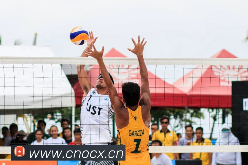 云开体育app网页入口平台生态图