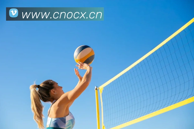 云开体育app网页入口全站App